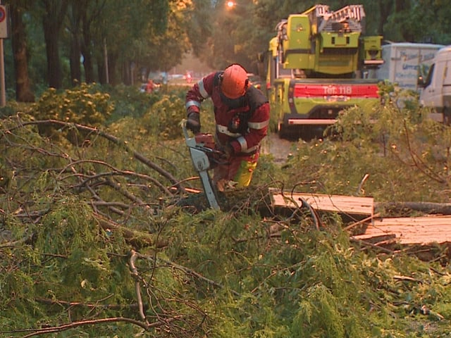 Feuerwehrmann sägt Baum