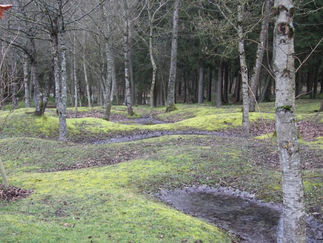 Wiesenlandschaft mit Bäumen. Spuren von Granattrichtern lassen die Landschaft hüglig erscheinen.