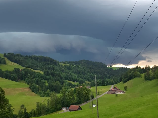 Die Superzelle über einem Wald.