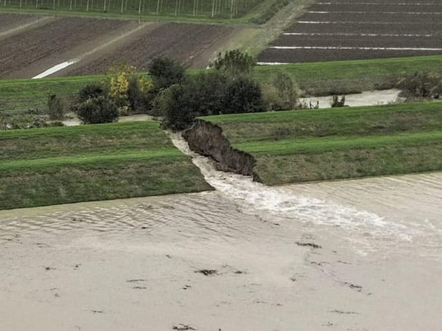 Ebenda ist ein Wildbach zum nahen Fluss durchgeborchen.