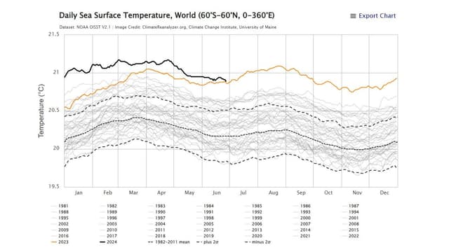 Grafik der täglichen Meeresoberflächentemperatur weltweit von 1981 bis 2023.