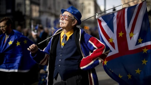 Ein Teilnehmer einer Pro-EU-Demonstration in London am 22. Oktober 2022. 