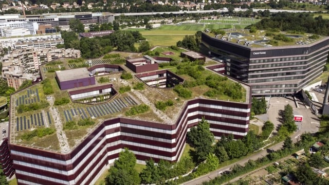 Der Bürokomplex Uetlihof 