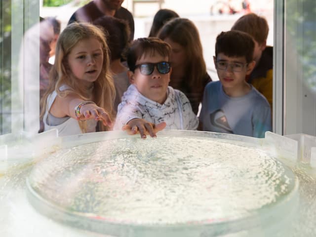 Schüler fassen das sprudelnde Quellenwasser an.