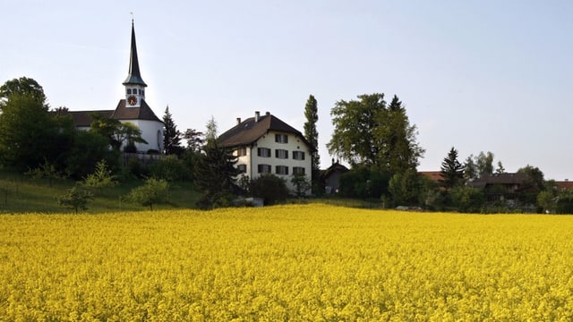 Blick auf die Kirche von Seuzach