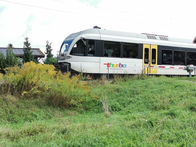 Ein Zug, der an einer Bahnstrecke mit Neophyten entlangfährt.