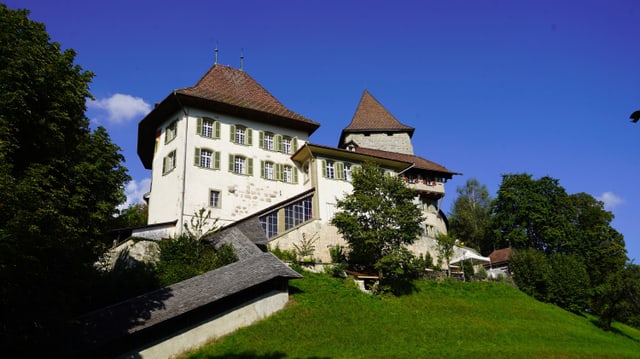 Ein Schloss auf einem Hügel, von Bäumen umgeben, blauer Himmel.