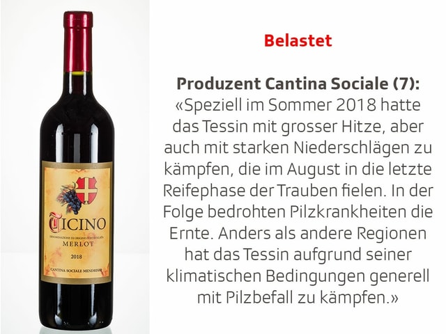 Stellungnahme Cantina Sociale