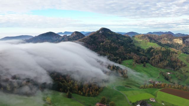 Luftaufnahme von bewaldeten Hügeln mit Nebel.