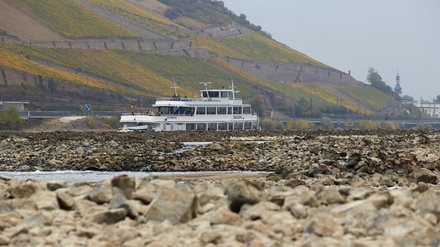 Schiff auf dem ausgetrockneten Rhein im Jahr 2018