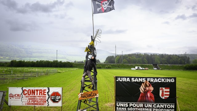 Protestplakate auf einer Wiese