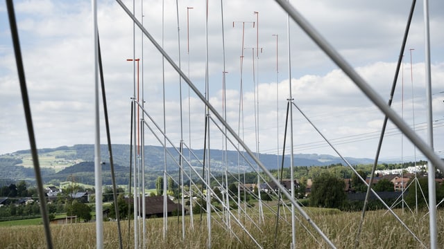 weisse Bauprofile in grüner Wiese, dahinter Häuser.