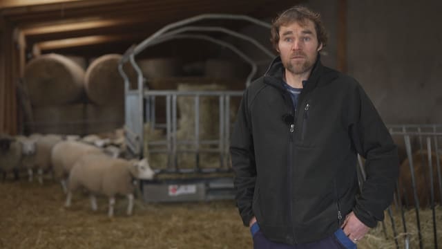 Pascal Donzé im Stall vor seinen Schafen