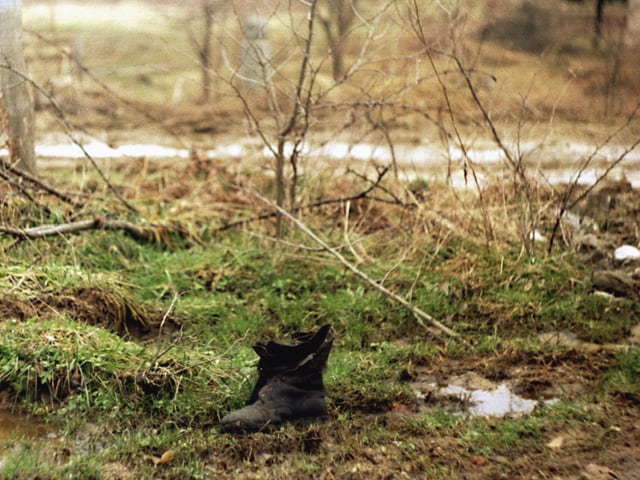 Ein Schuh im modrigen Wald neben einer Pfütze.