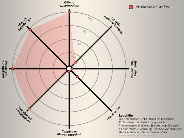 Spidergrafik von Priska Seiler Graf