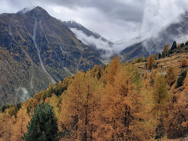 Berglandschaft mit herbstlichem Wald und Wolken.