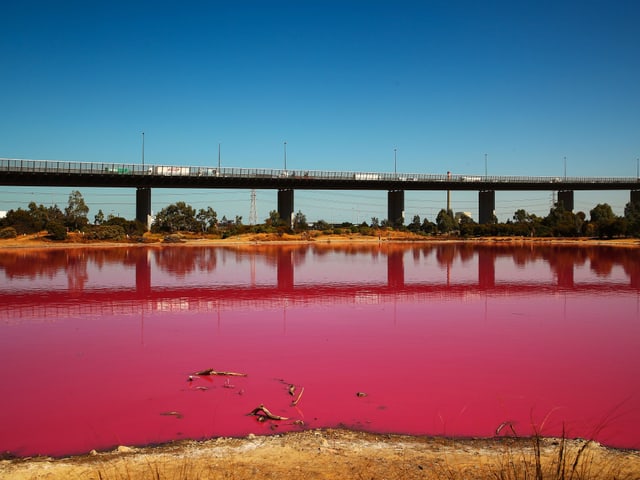 Pinker See in der nähe von Melbourne.