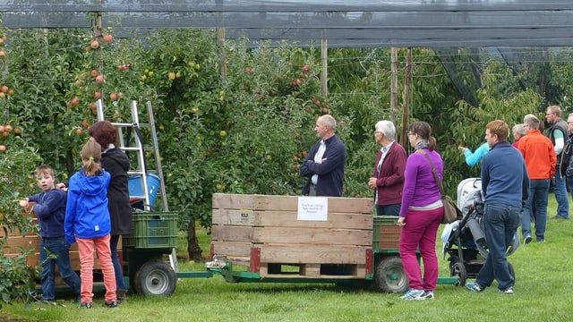 Menschen in einer Obstplantage.