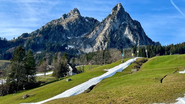 Weisse Skiliftpiste und sonst grüner Hang.