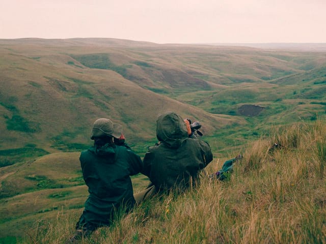 Susan Lingle und einen Kollegen in der kanadischen Prärie beim Erspähen der wildlebenden Hirschweibchen 