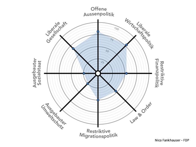 Das politische Profil von FDP-Kandidat Nico Fankhauser, dargestellt in einem Smart Spider.