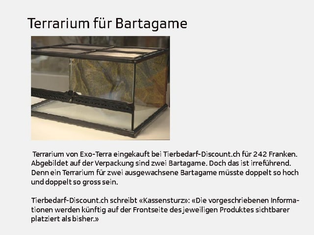 Terrarium für Bartagamen