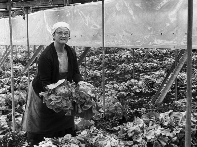 Frau, mit zwei Salatköpfen in der Hand.