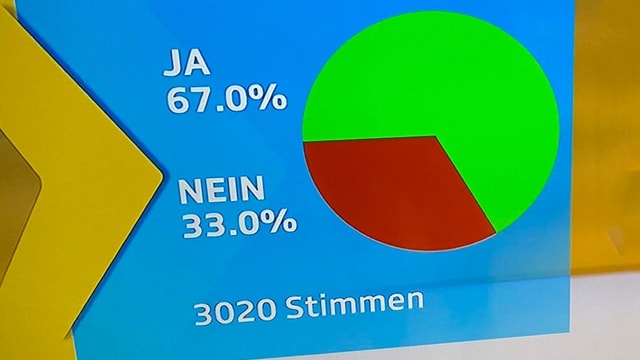 Kuchendiagramm Abstimmungsresultat