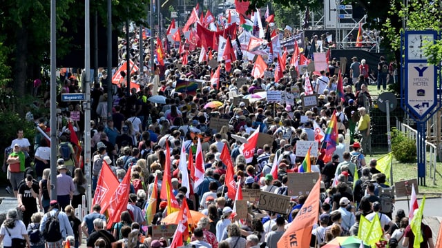 Demonstranten mit Fahnen.