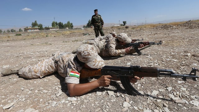 Kurdische Peschmerga-Kämpferinnen in Nordirak (Archiv).