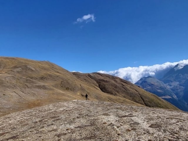 Alp im Saflischtal