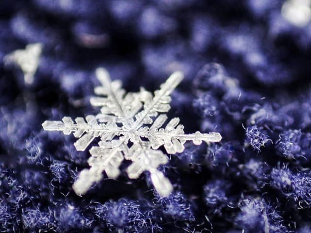 Schneekristall auf dunklen Fasern