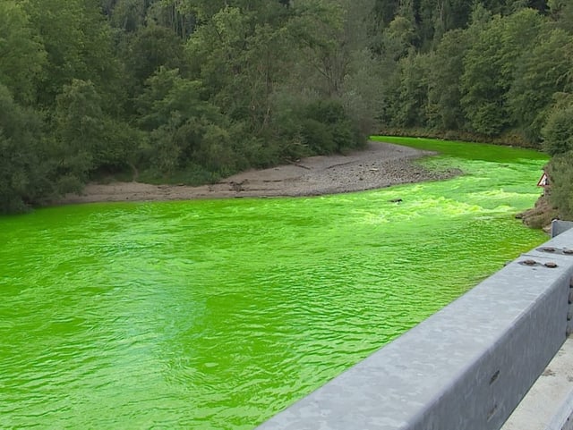 grüner Fluss