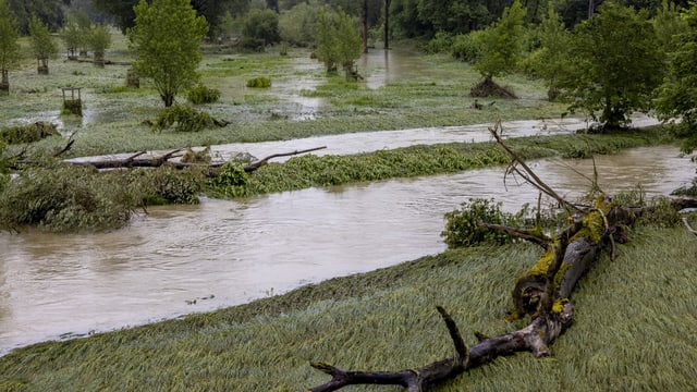 Fluss mit Hochwasser