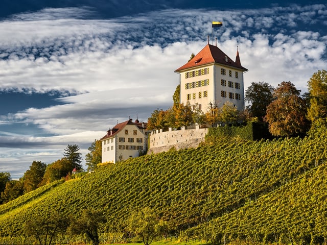 Schloss mit Weinreben.