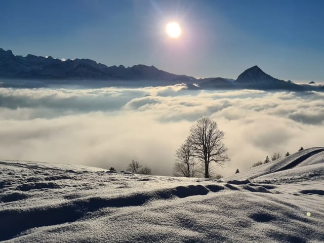 Blick auf schneebedeckten Boden und Hochnebel. Dazu blauer Himmel mit Sonnenschein.