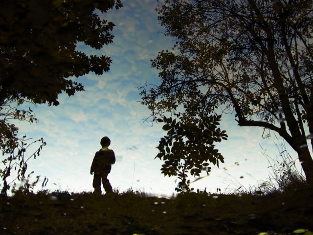 Silhouette eines Jungen von hinten, der auf einer Wiese steht.