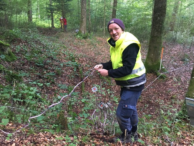 Eine Person steht im Wald und führt Messungen durch.