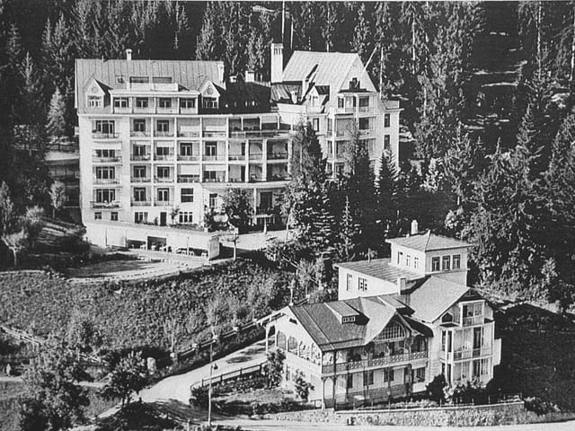 Historisches Bild: Waldhotel mit Villa am Stein davor.