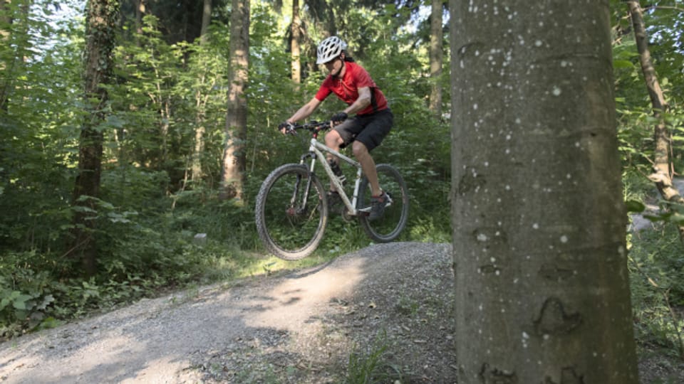 Neue Bike-Trails in Aargauer Wäldern