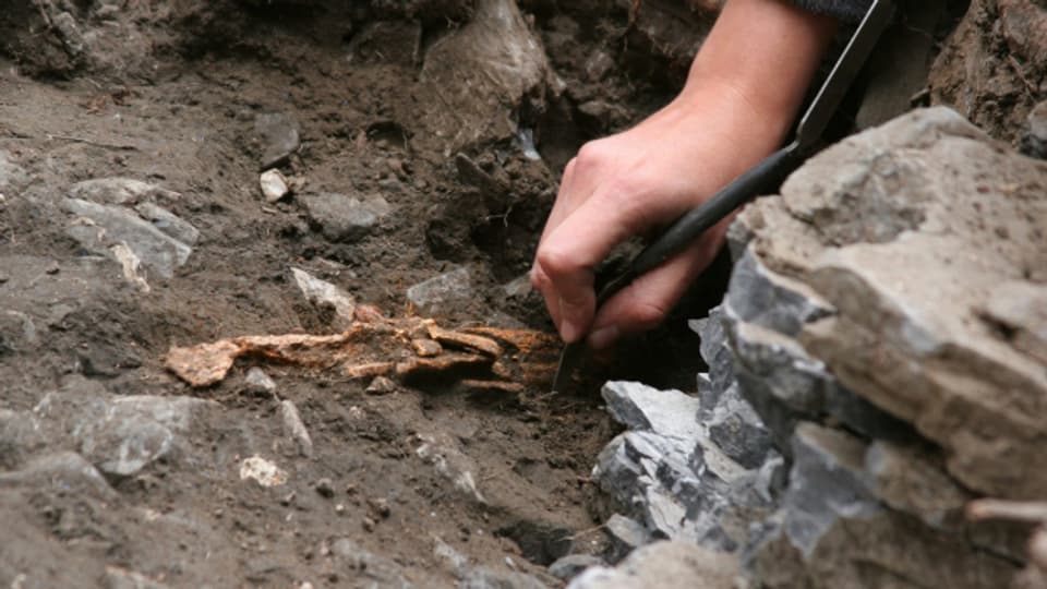 Archäologische Ausgrabungen im Pfynwald. Weil sich der Autobahnbau verzögert, wird nach Spuren gegraben.