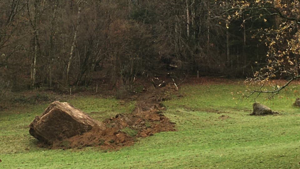 Felsklotze Stoppen In Bilten Kurz Vor Der Hausture Regionaljournal Ostschweiz Srf