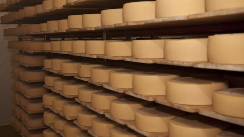 Die Schaukäserei soll die Produktion von Käse sichtbar machen.