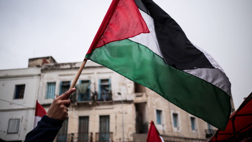 Spanien, Irland und Norwegen wollen kommende Woche offiziell einen Palästinenserstaat anerkennen.