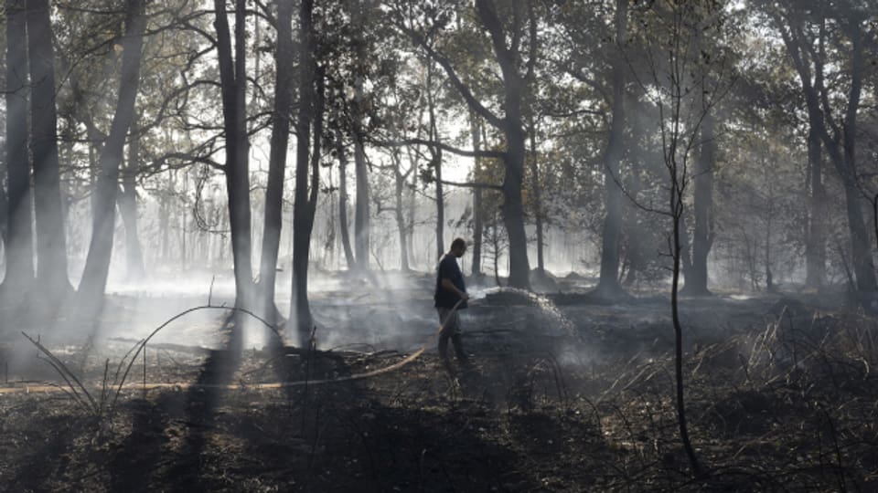 Die Waldbrände haben in der Gironde grosse Zerstörung hinterlassen.