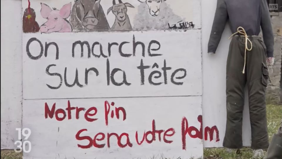 Die Proteste in der Schweiz verlaufen ganz nach dem Motto derjenigen in Frankreich: «On marche sur la tête».