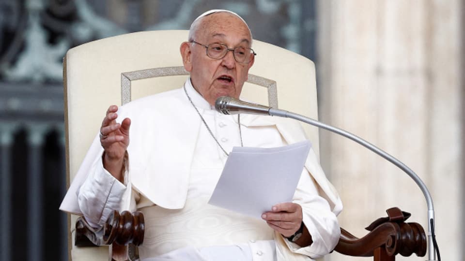 Die abschätzige Aussage des Papstes irritiert selbst im eher konservativen Italien.