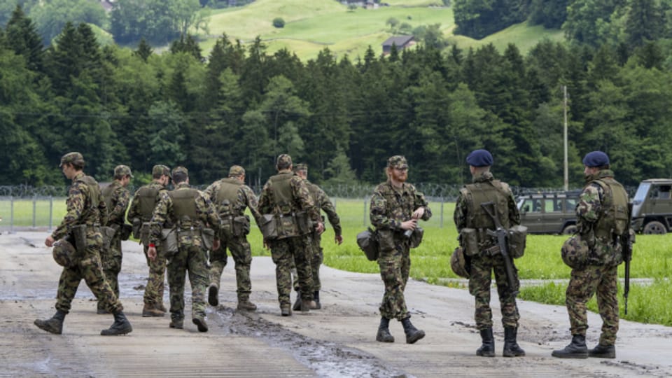Nächsten Frühling plant die Armee eine Grossübung in Österreich.