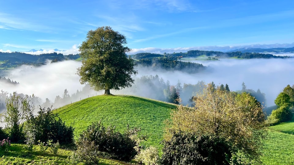 Hügelland bei Heimisberg mit Nebelfetzen in den Taleinschnitten.