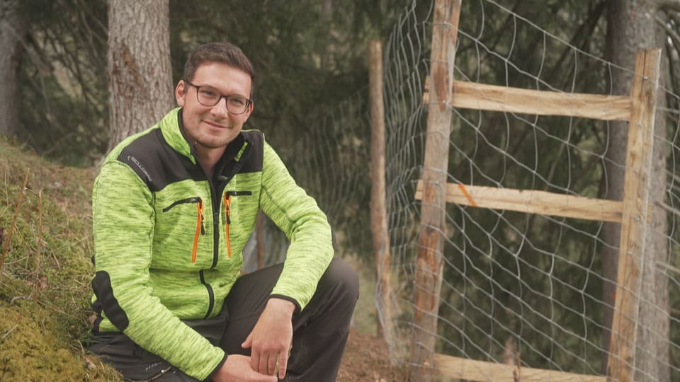 Der Wald Puzzastg bereitet dem Förster Sorgen.